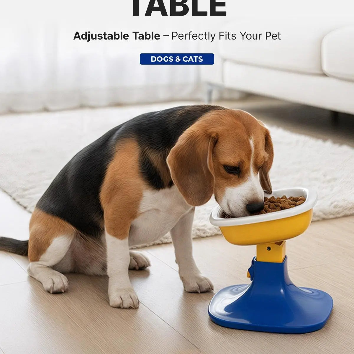 PETHROOM Adjustable Height Feeding Stand with Non-Slip Stability and Durable Ceramic Bowls for Dogs and Cats