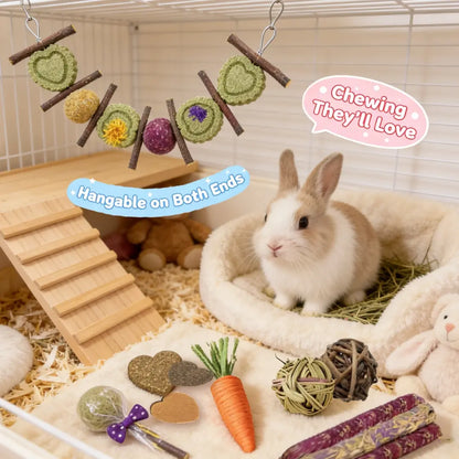 Rabbit Chew Toys Set, Natural Apple Sticks & Timothy Hay Treats, Molar Toys for Bunny, Guinea Pig, Small Pets, Cage Accessories for Teeth Grinding #Summervibes