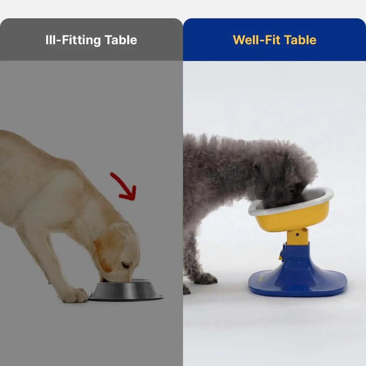 PETHROOM Adjustable Height Feeding Stand with Non-Slip Stability and Durable Ceramic Bowls for Dogs and Cats